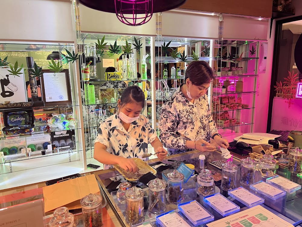 Bangkok Cannabis Souvenir - photo 4