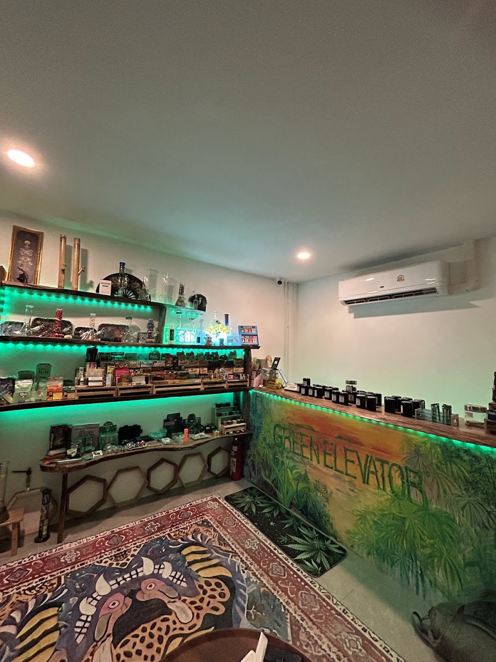 Green Elevator - photo 4