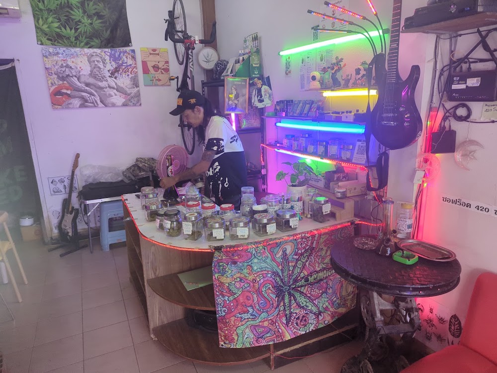Soft rock 420 (Weed) - photo 4