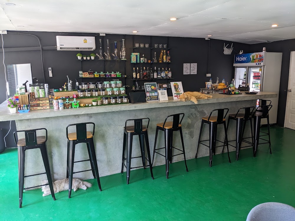How High - photo 4