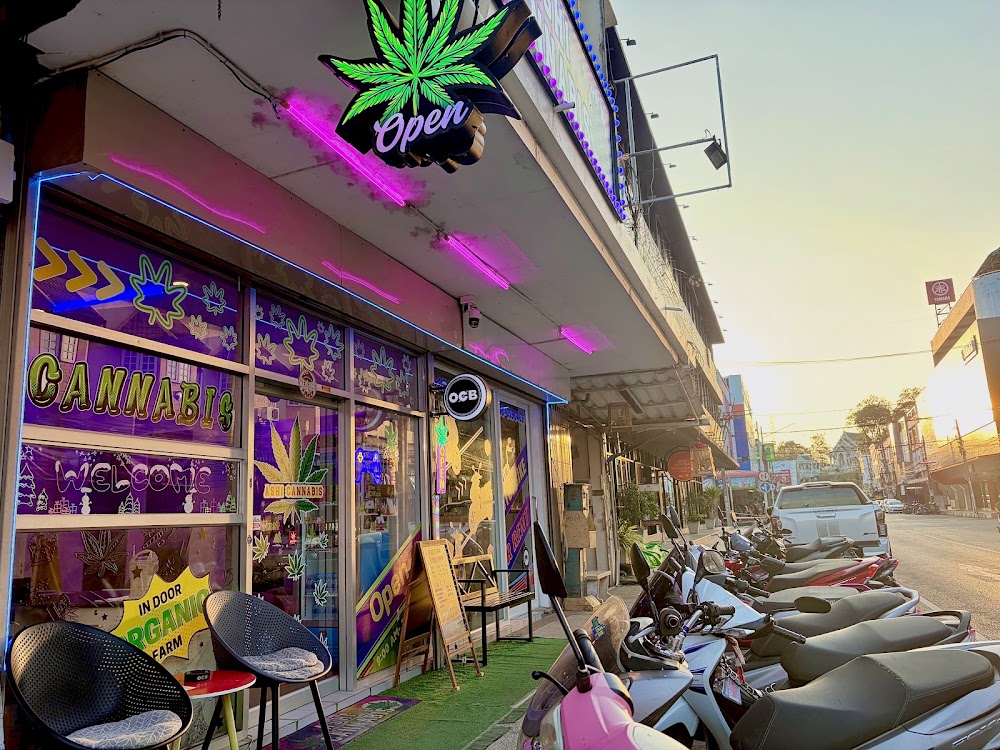 ASHI CANNABIS SHOP (krabi town) - photo 3