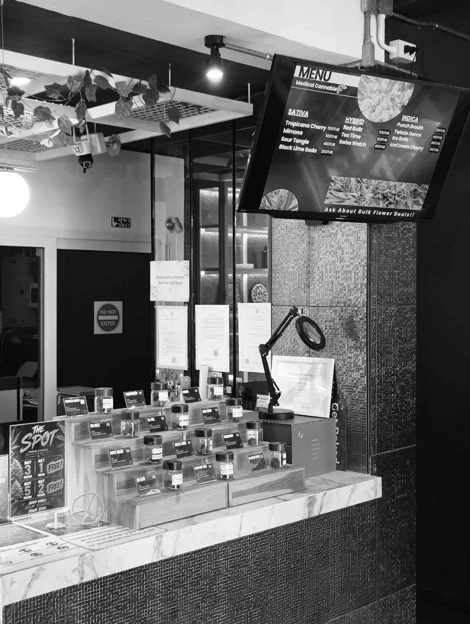 The Spot Cannabis Dispensary | ร้านกัญชาเชียงใหม่ Cannabis shop Chiang Mai - photo 5