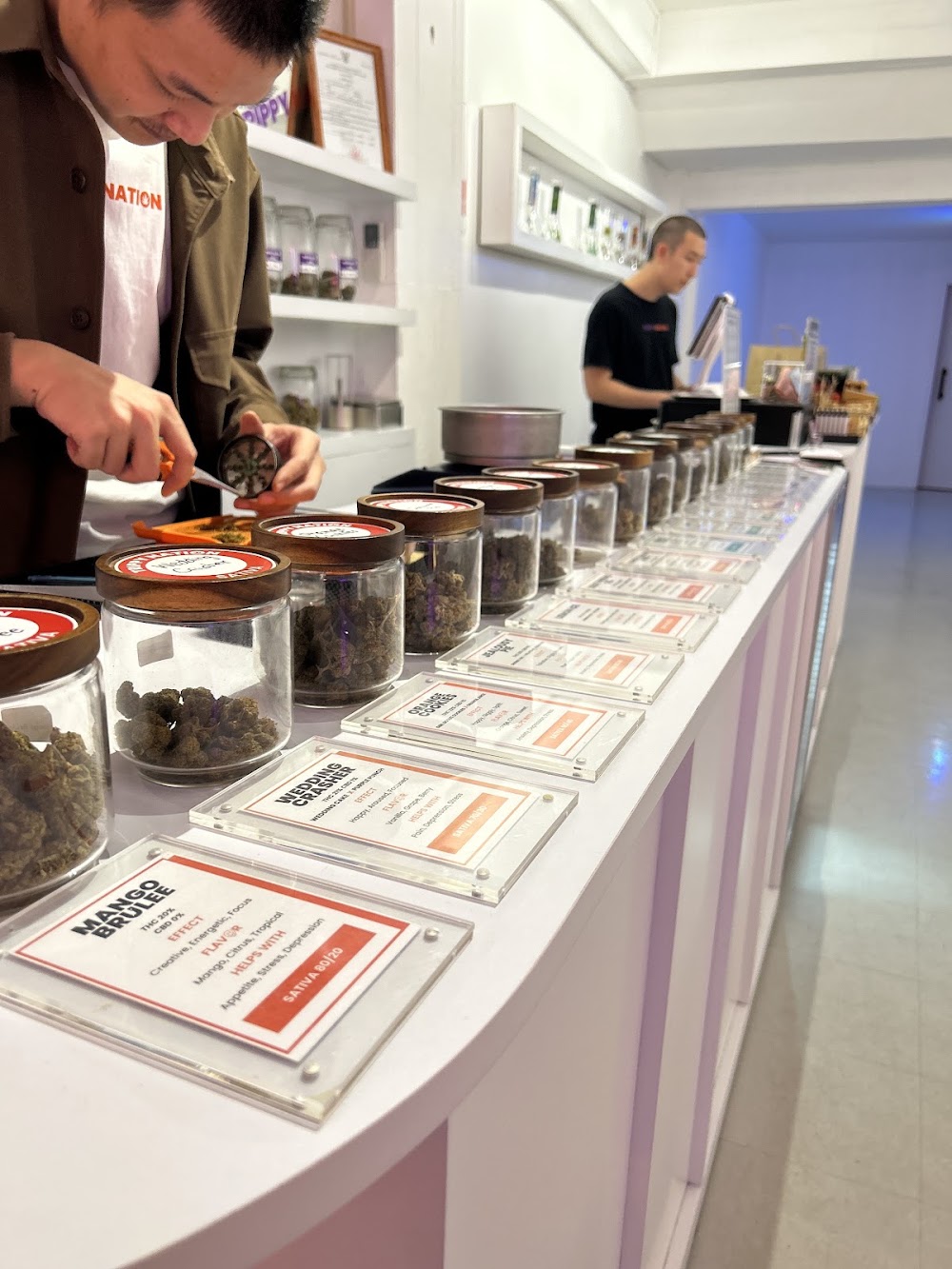 Trippy Nation Dispensary - Thonglor - photo 2