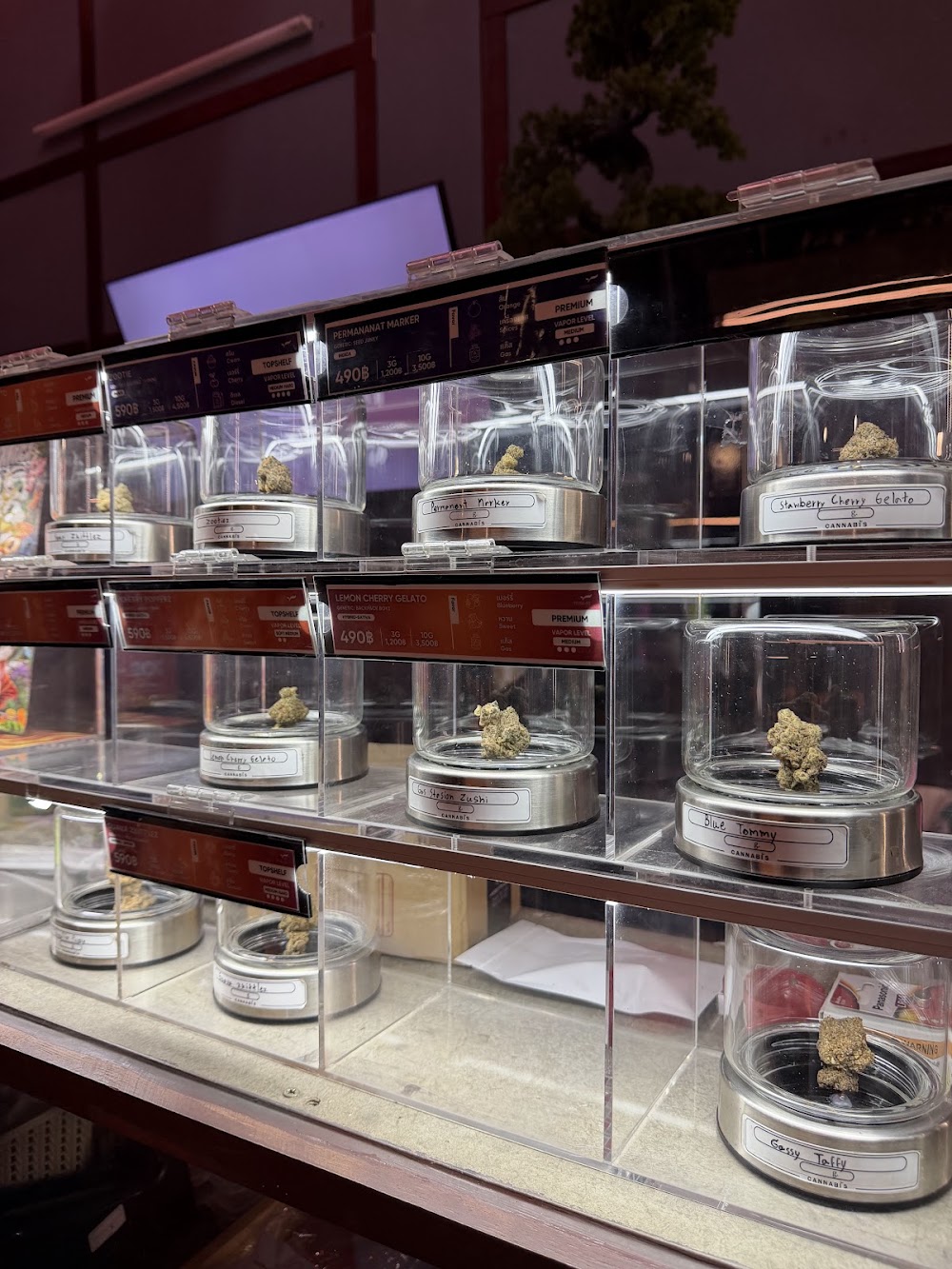 Cannabis by Thai Project - photo 2