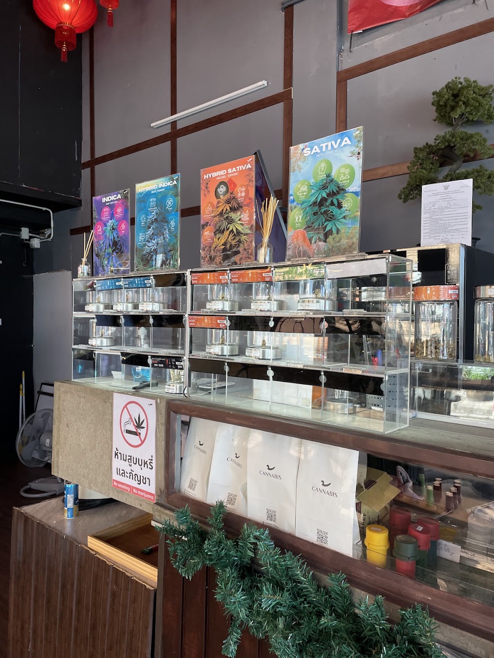 Cannabis by Thai Project - photo 3