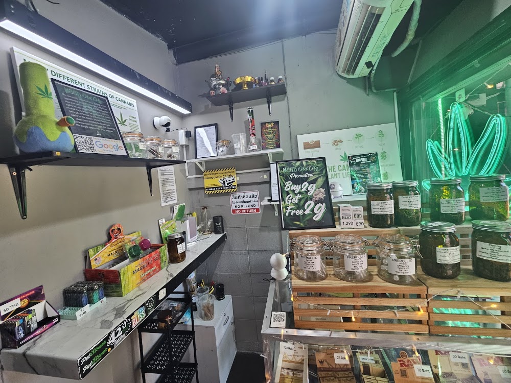 Weed OLD City Cannabis store Dispensary 大麻 marijuanas конопля - photo 4