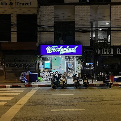 Weederland — cannabis dispensary in Old City, Chiang Mai