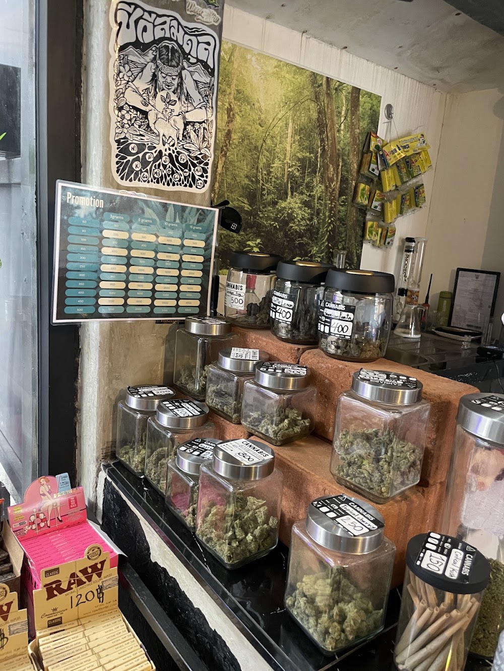 Superbud@Weed Shop Ganj Chiang - Best Cannabis in Chiangmai 大麻店 - photo 2