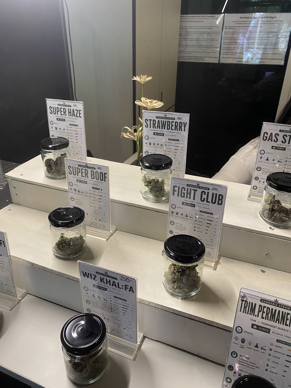 Superbud@Weed Shop Ganj Chiang - Best Cannabis in Chiangmai 大麻店 - photo 3