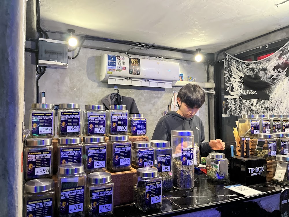 Superbud@Weed Shop Ganj Chiang - Best Cannabis in Chiangmai 大麻店 - photo 4