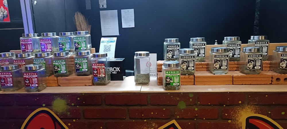 Superbud@Weed Shop Ganj Chiang - Best Cannabis in Chiangmai 大麻店 - photo 5