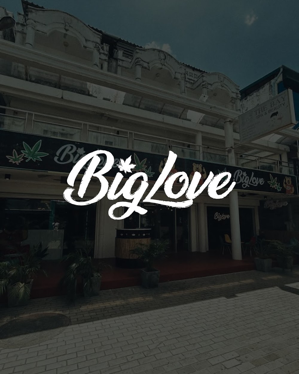 Big Love – Weed & Cannabis Bar - photo 4