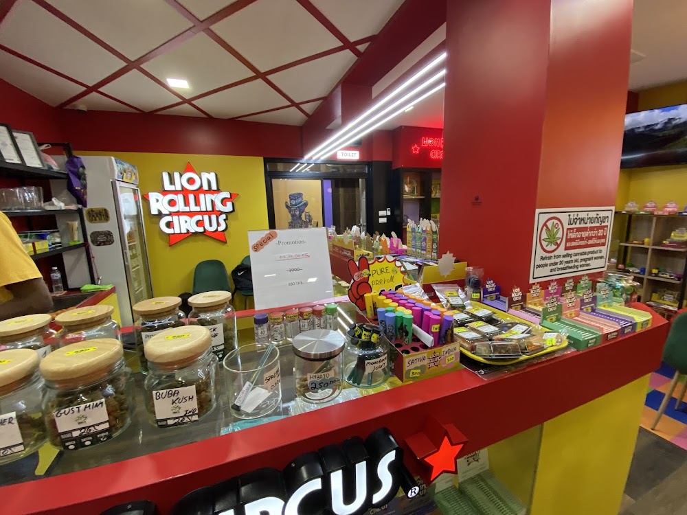 LION ROLLING CIRCUS - Dispensary, Chaweng Beach - photo 3