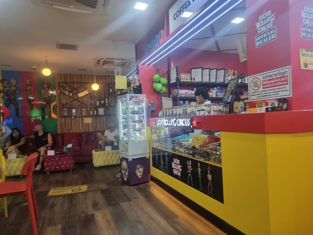 LION ROLLING CIRCUS - Dispensary, Chaweng Beach - photo 5