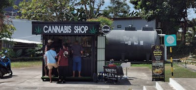 WHITE LILY cannabis dispensary & weed shop aonang — cannabis dispensary in Ao Nang, Krabi