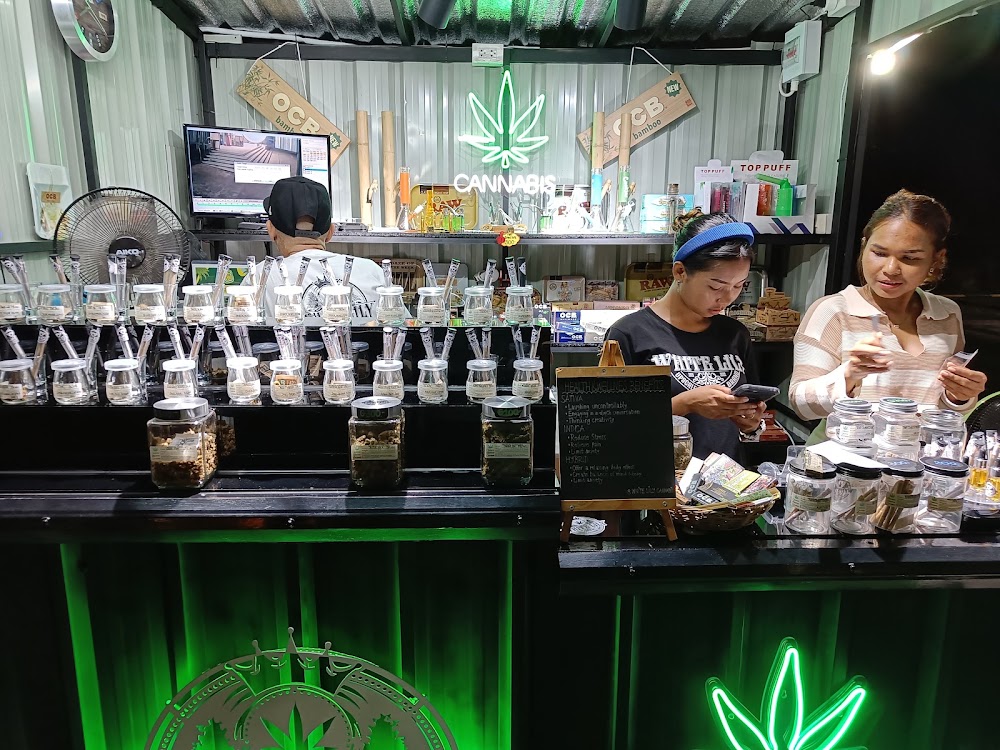 WHITE LILY cannabis dispensary & weed shop aonang - photo 3