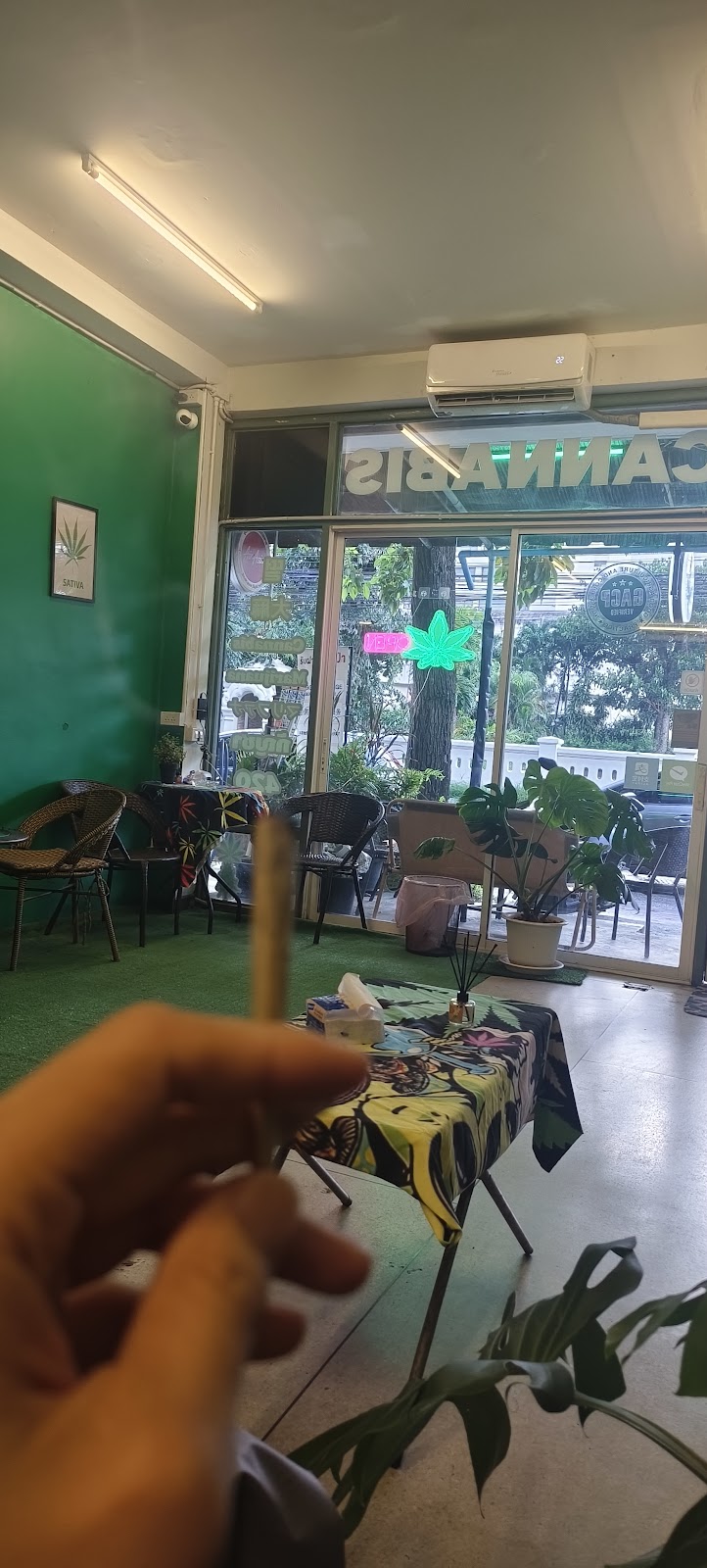 WEED KING Cannabis store Dispensary 大麻 marijuanas Edible конопля - photo 4