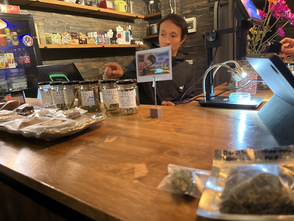 Treehouse Dispensary Chiang Mai - photo 4