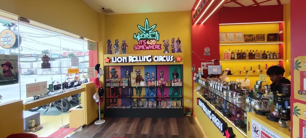 LION ROLLING CIRCUS - Dispensary, Phangan 1 - photo 2