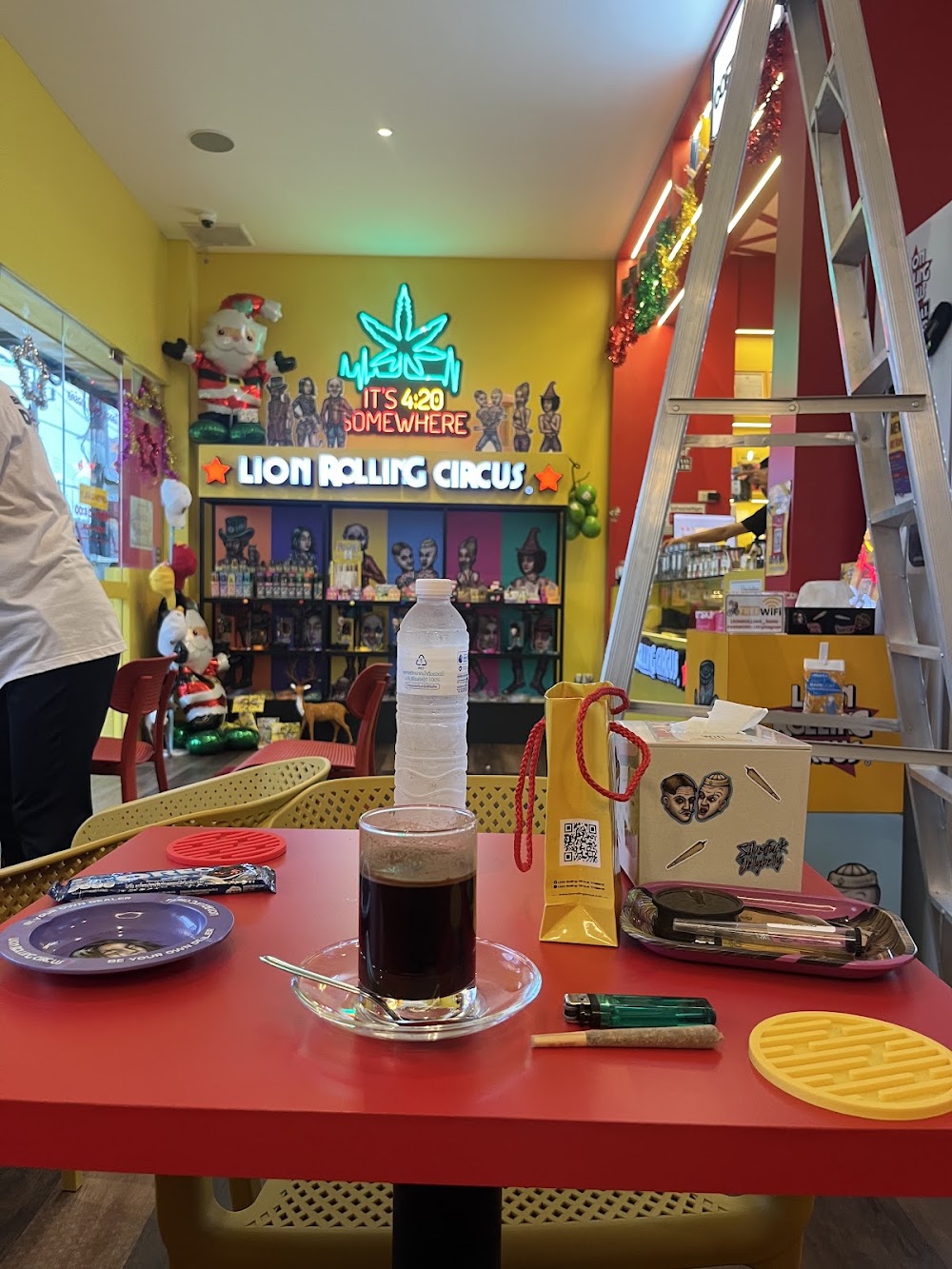 LION ROLLING CIRCUS - Dispensary, Phangan 1 - photo 3