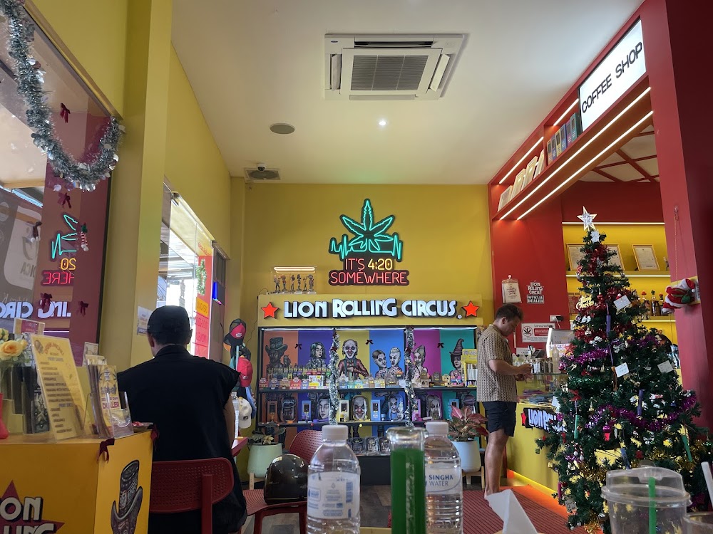 LION ROLLING CIRCUS - Dispensary, Phangan 1 - photo 5