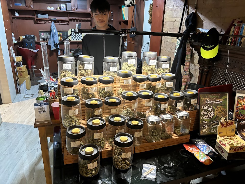 Weed Shop Highway 420 Cannabis Dispensary 大麻 Marijuanas - photo 3