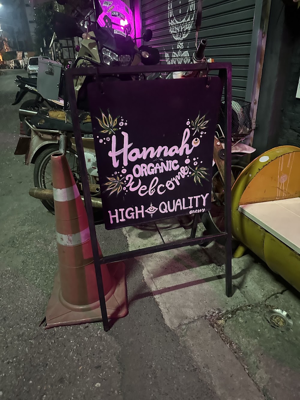 Hannah Organic - photo 3