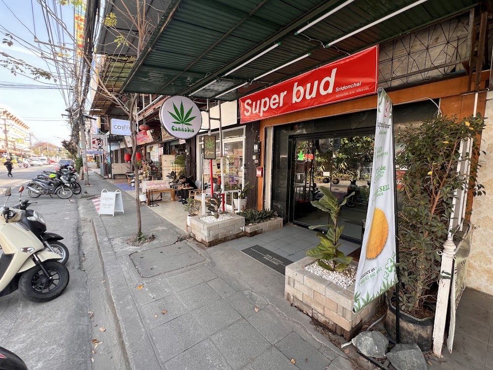 Weed Shop Superbud @Sridonchai - Cannabis dispensary 大麻 конопля - photo 1