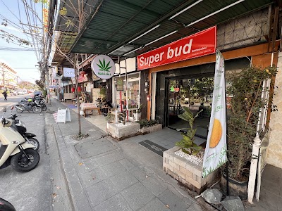 Weed Shop Superbud @Sridonchai - Cannabis dispensary 大麻 конопля — cannabis dispensary in Night Bazaar, Chiang Mai