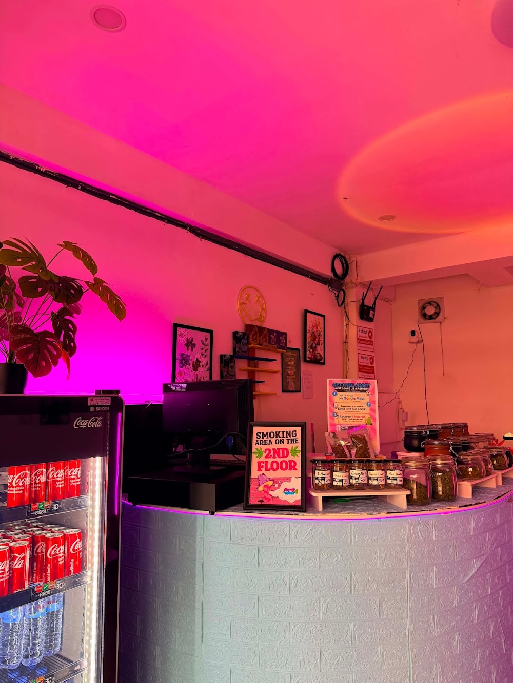 Weed Candy Weed Shop 24hrs - ร้านกัญชา24ชั่วโมง Cannabis Store Chiang Mai - photo 2