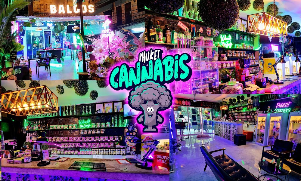 Phuket Cannabis - photo 2