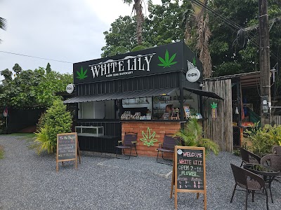 WHITE LILY cannabis dispensary & weed shop klong hang krabi — cannabis dispensary in Ao Nang, Krabi