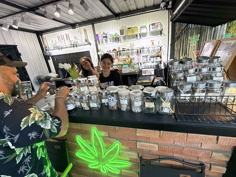 WHITE LILY cannabis dispensary & weed shop klong hang krabi - photo 2