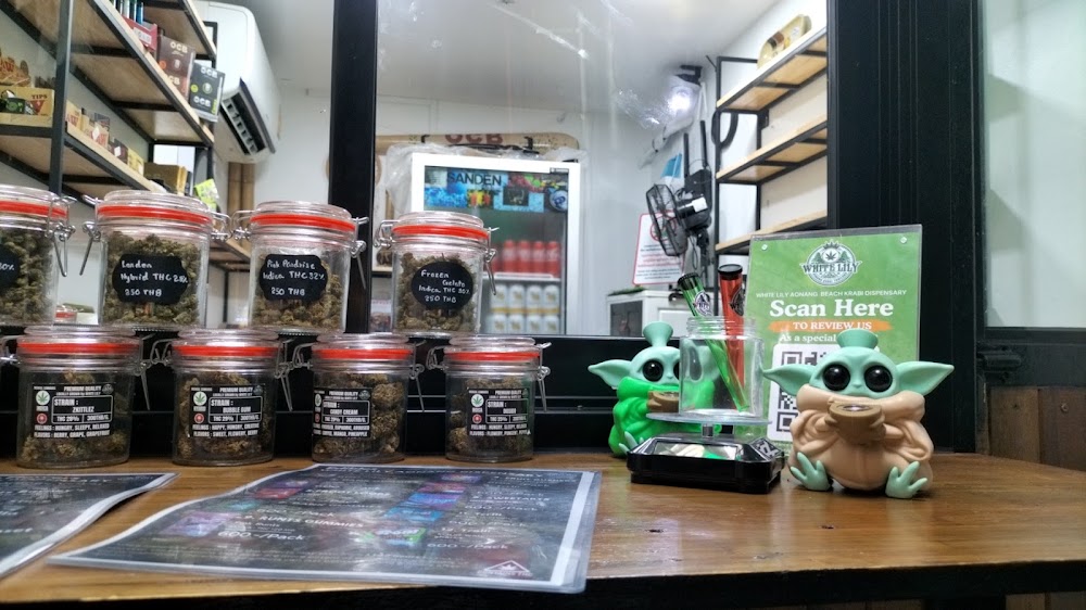 WHITE LILY cannabis dispensary & weed shop klong hang krabi - photo 3