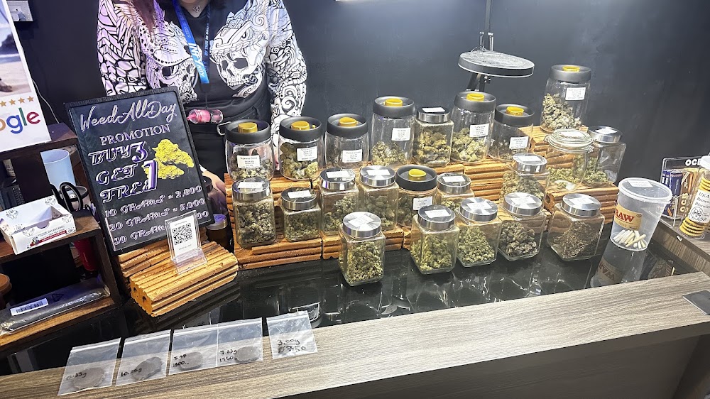 Weed All Day cannabis shop cnx - photo 3