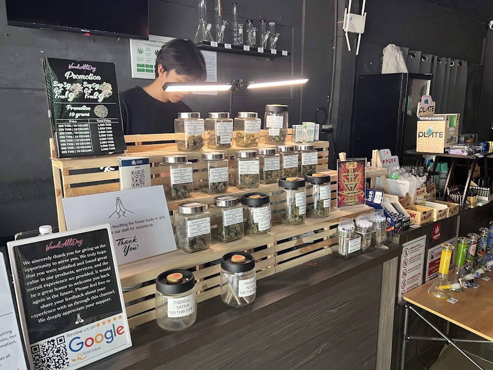 Weed All Day cannabis shop cnx - photo 5
