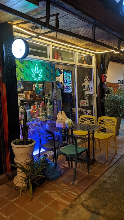 Space weed — cannabis dispensary in Old City, Chiang Mai