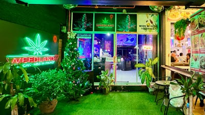 Weed Planet 77 (open 24/7) — cannabis dispensary in Patong, Phuket
