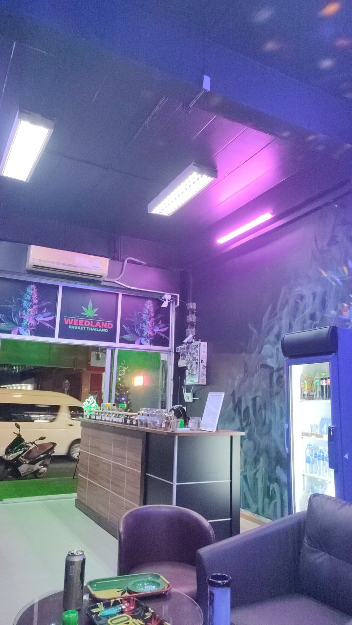 Weed Planet 77 (open 24/7) - photo 3