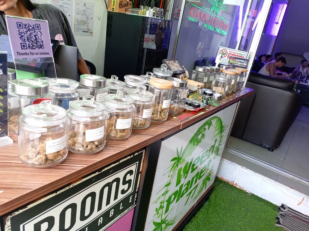Weed Planet 77 (open 24/7) - photo 4