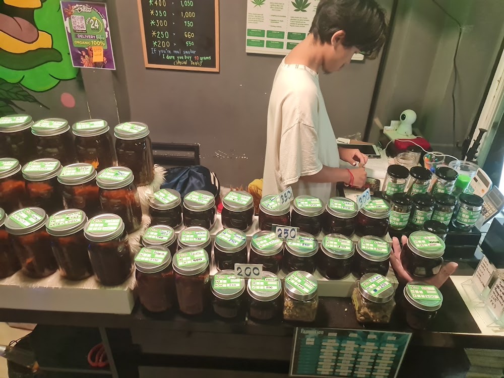 Weed Chaser - 24hr Weed Shop ร้านกัญชา 24ชั่วโมง Cannabis Store Dispensary Chiang Mai - photo 2