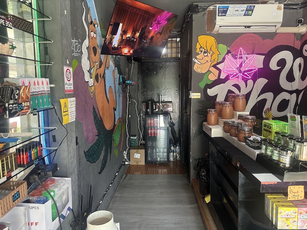 Weed Chaser - 24hr Weed Shop ร้านกัญชา 24ชั่วโมง Cannabis Store Dispensary Chiang Mai - photo 4