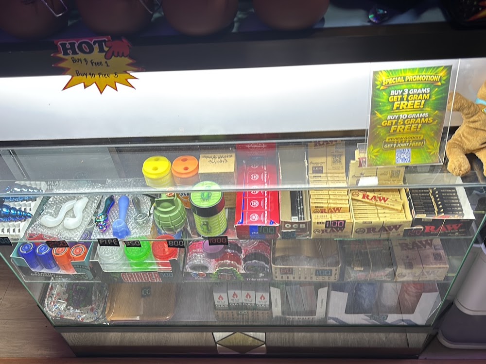 Weed Chaser - 24hr Weed Shop ร้านกัญชา 24ชั่วโมง Cannabis Store Dispensary Chiang Mai - photo 5