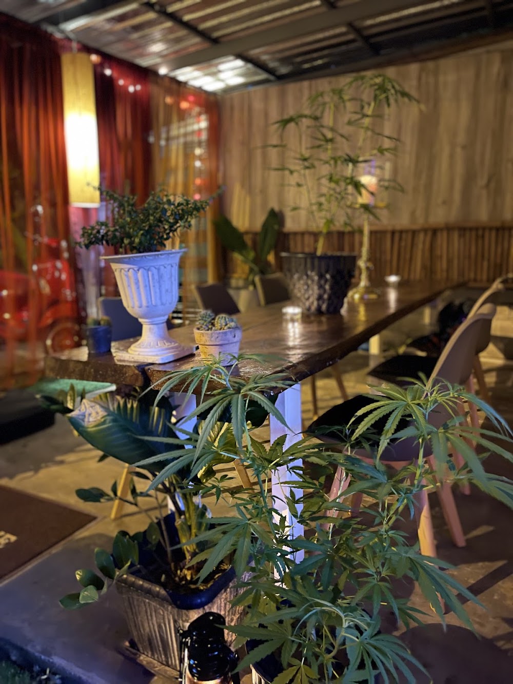 High-In Dispensary - photo 3