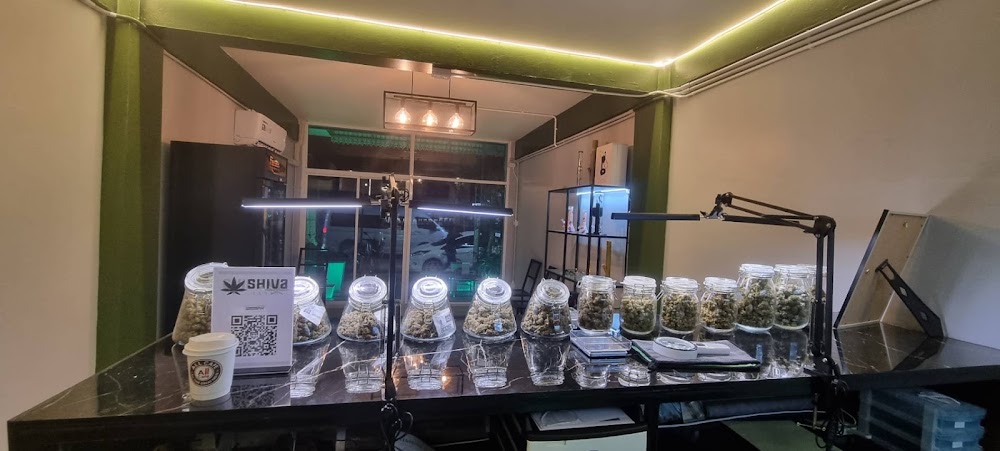 Shiva Cannabis - Weed & Bar Hua Hin - photo 3