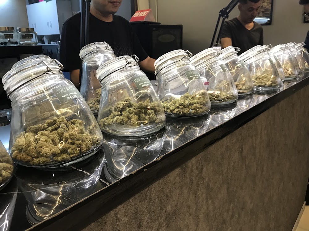Shiva Cannabis - Weed & Bar Hua Hin - photo 4