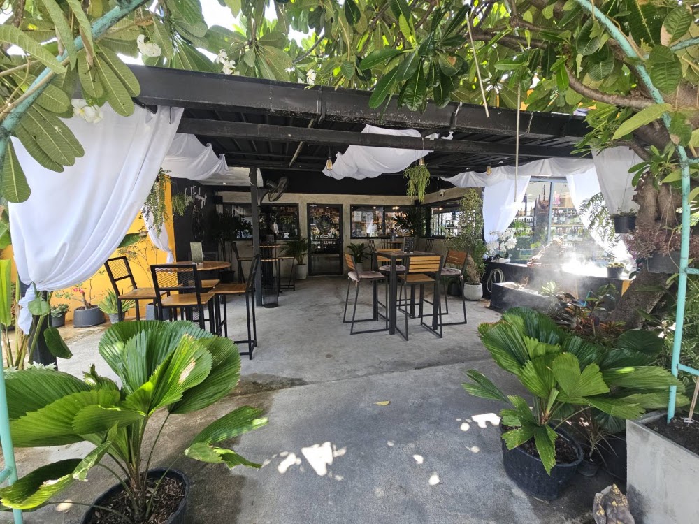 WINE & WEED Hua-Hin - photo 2