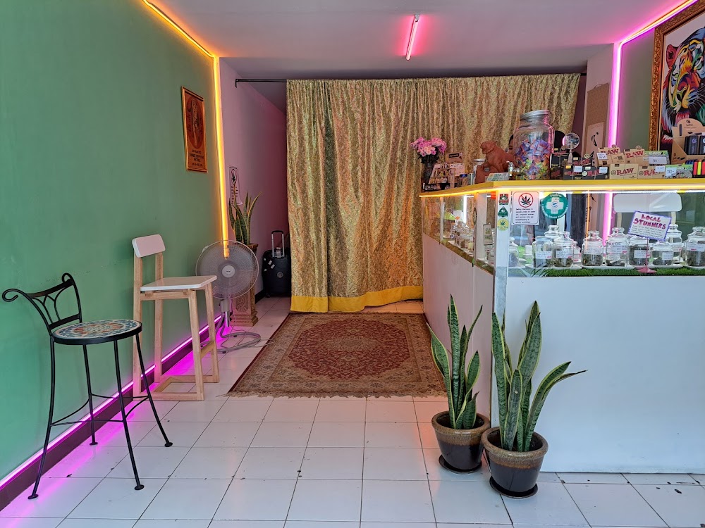 Flying Tiger Cannabis Dispensary - photo 3