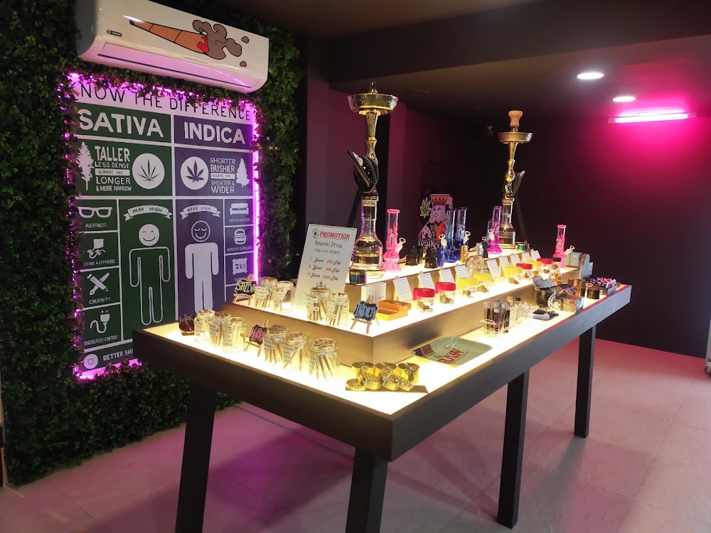Cannabis Kingdom Chaweng - photo 3
