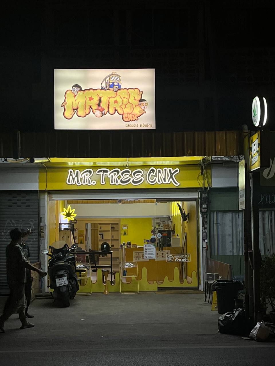 Mr.Tree CNX - Cannabis Social Club Chiang Mai - photo 1